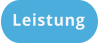Leistung